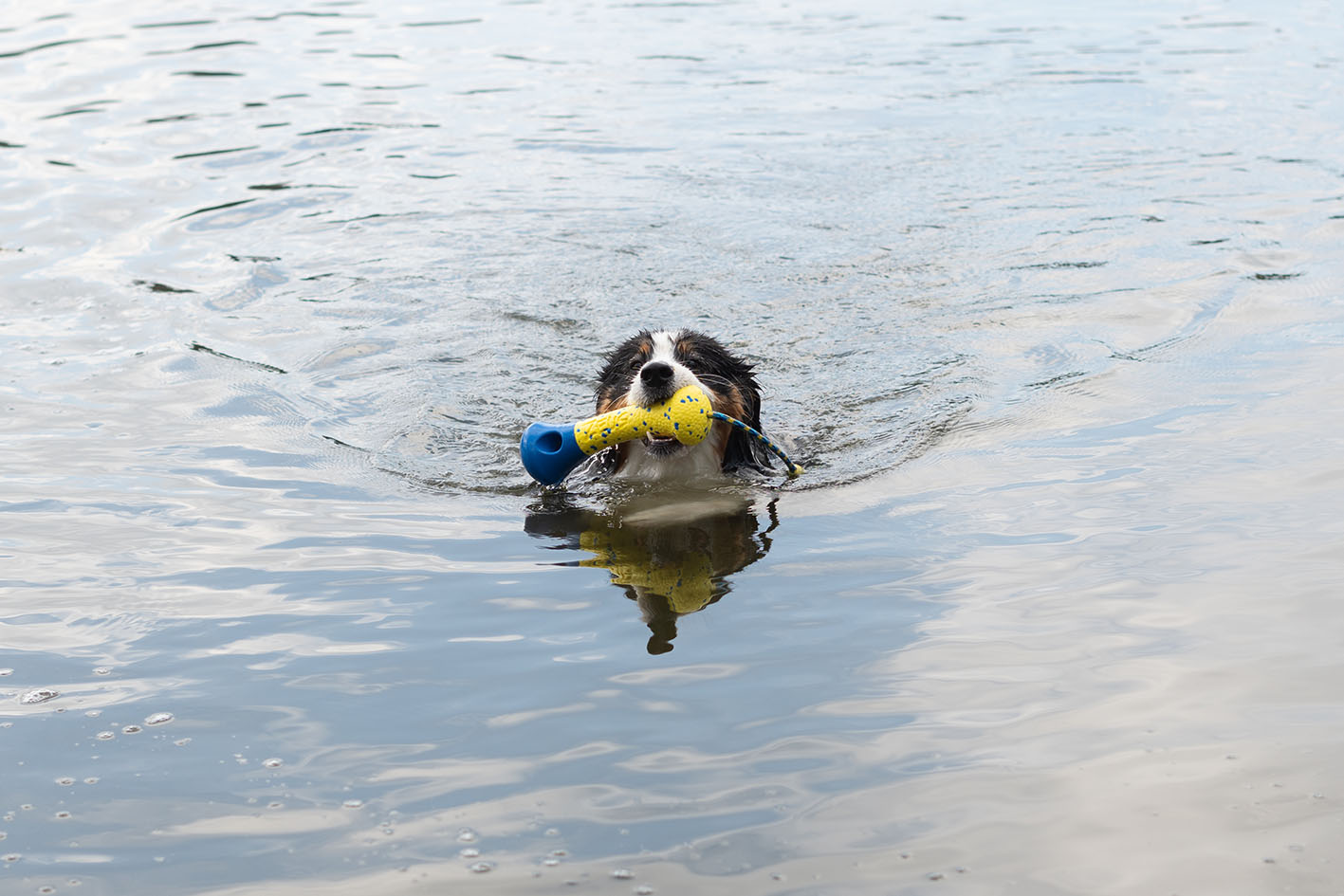 Zeus Nitro Buoy / Boje, 26 cm, gelb