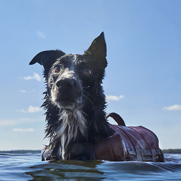 Hurtta Schwimmweste Life Savior ECO Rettungsweste: S, 5-10kg