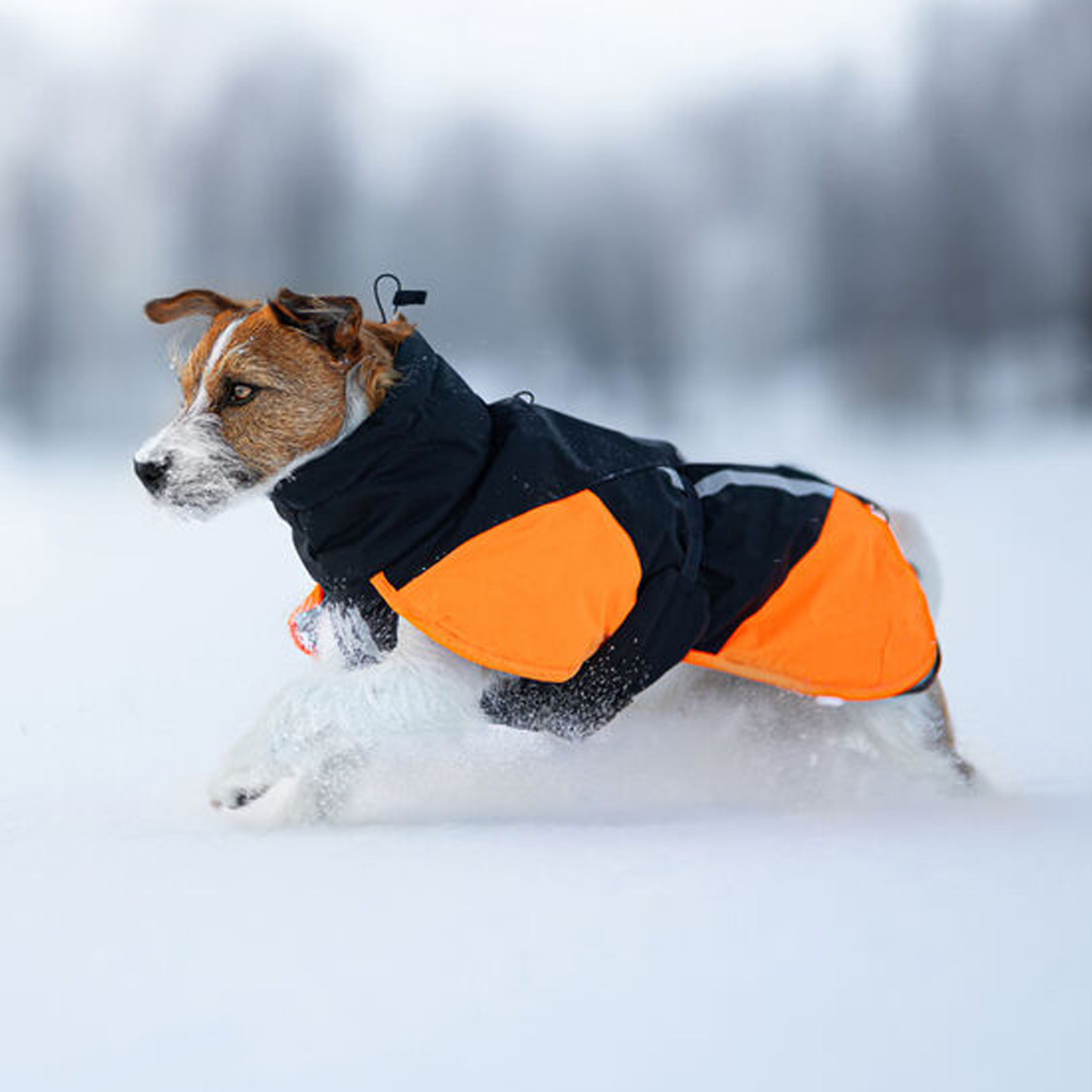 Non-stop Jacke Glacier 3.0, schwarz/orange, 40cm