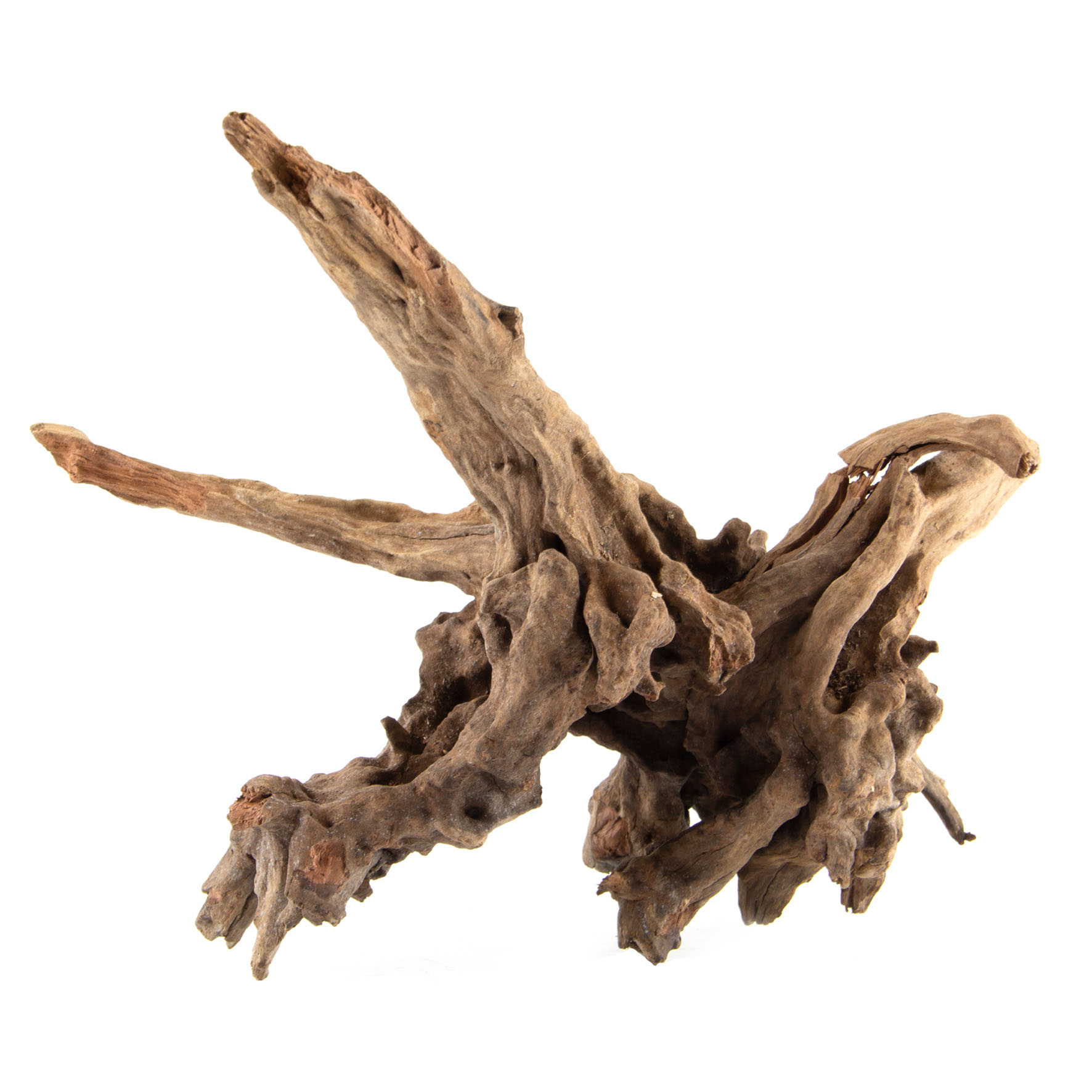 Racine Black Slim M - 26-36cm