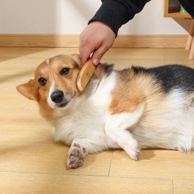 M-Pets Bambusbürste mit rotierenden Zähnen, 6.5 x 21.5cm
