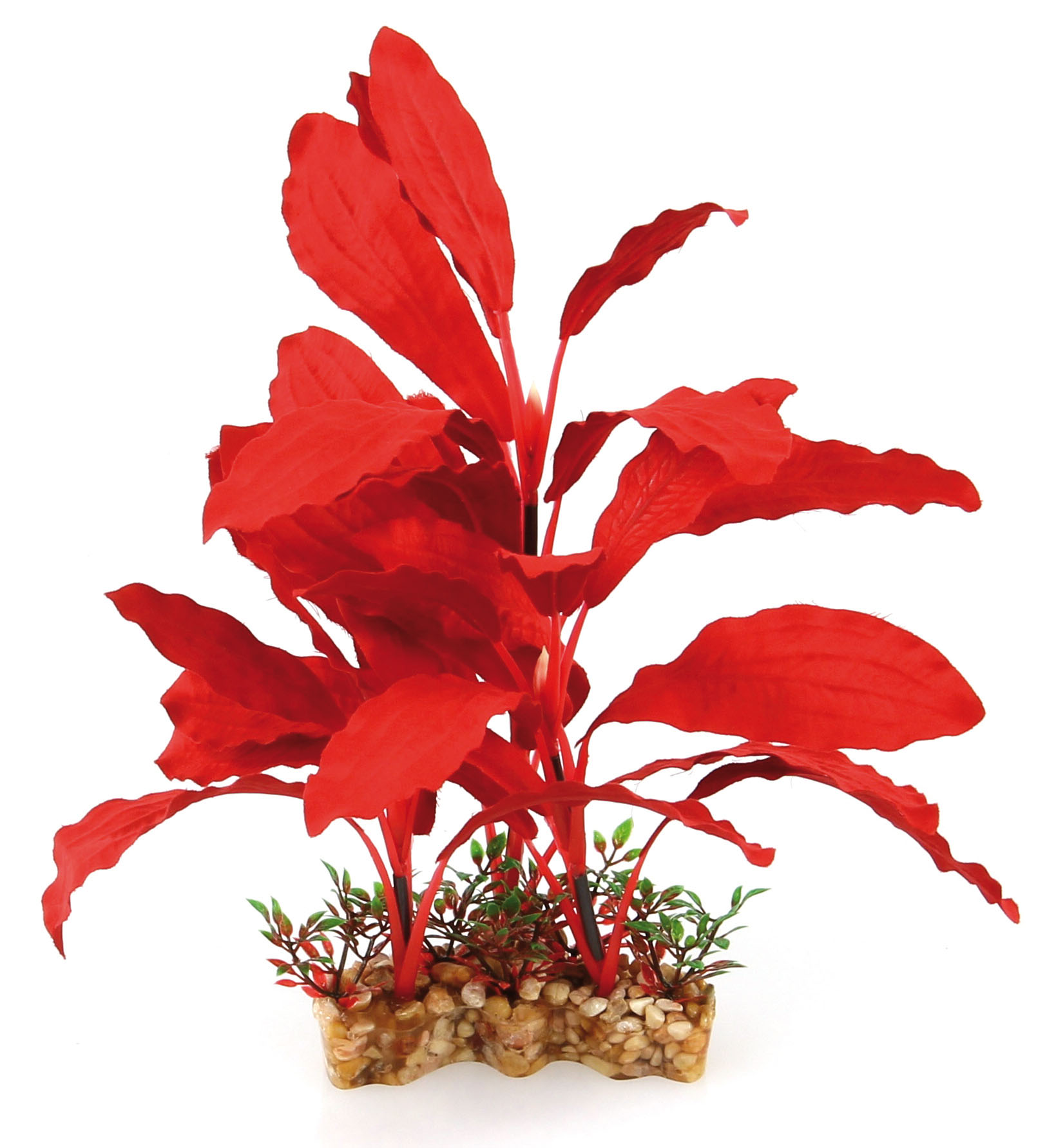 Amazonas Fantasy Plant VSB rosso