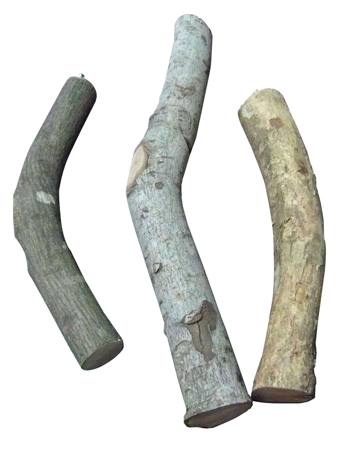 swisspet Naturholzsitzstangen