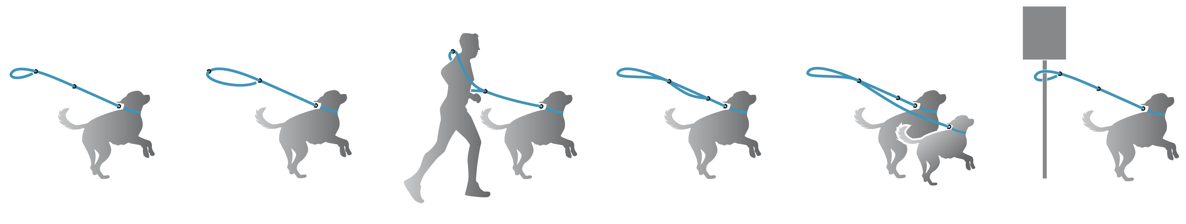 SportLine Reflecto Hundehalsband und Hundeleine