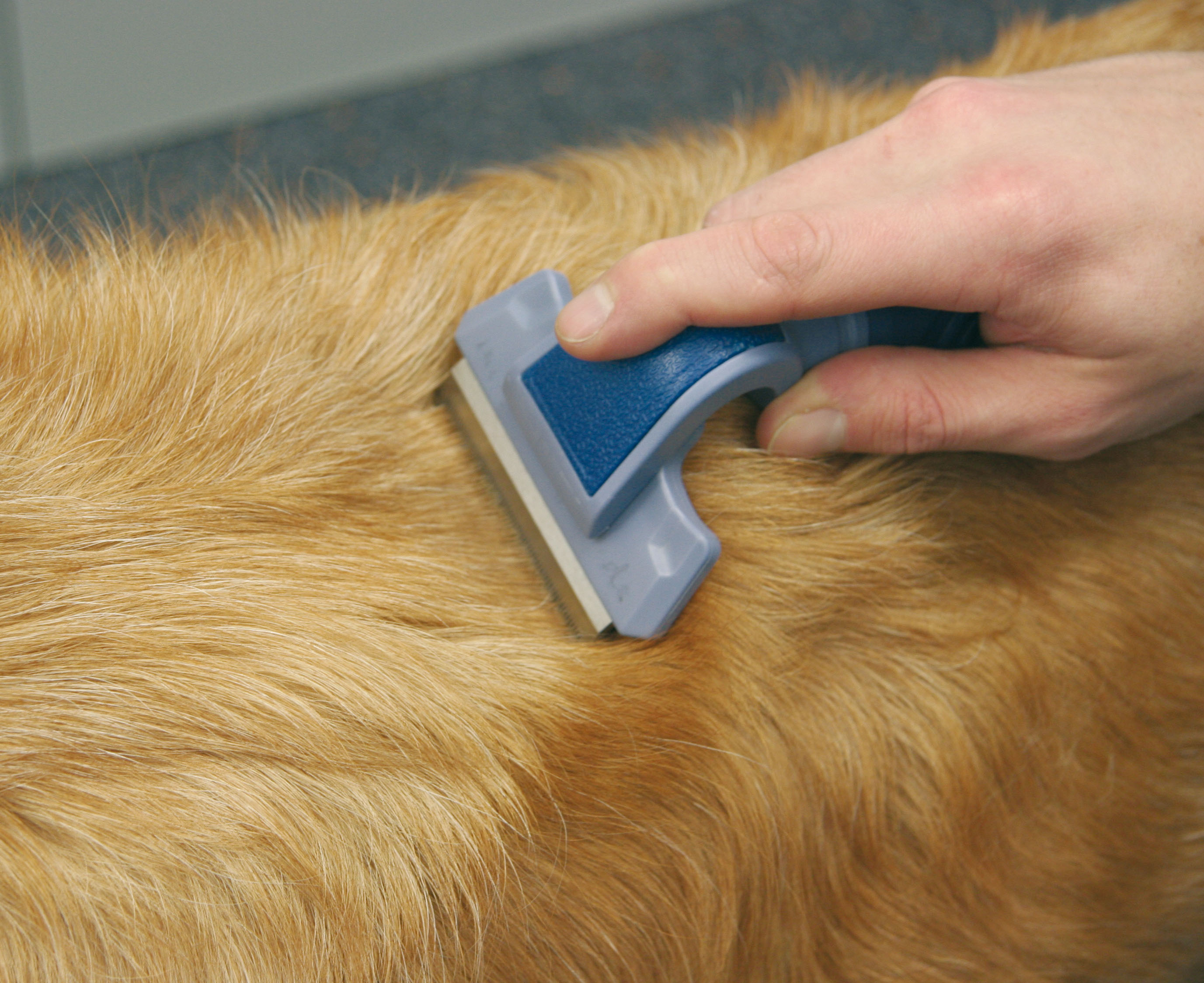 swisspet TrimmFit Trimmer