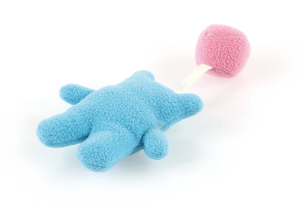 swisspet Hundespielzeug Puppy Spielzeug-Bär