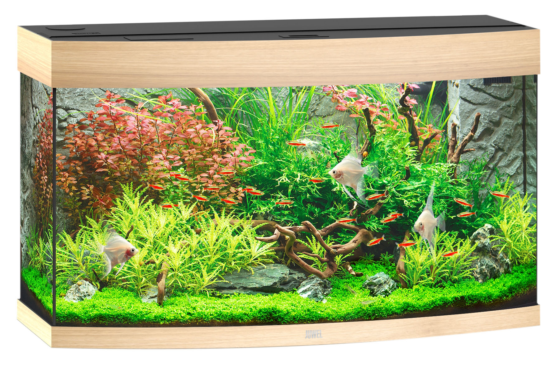 Juwel Aquarium Vision 180, hell