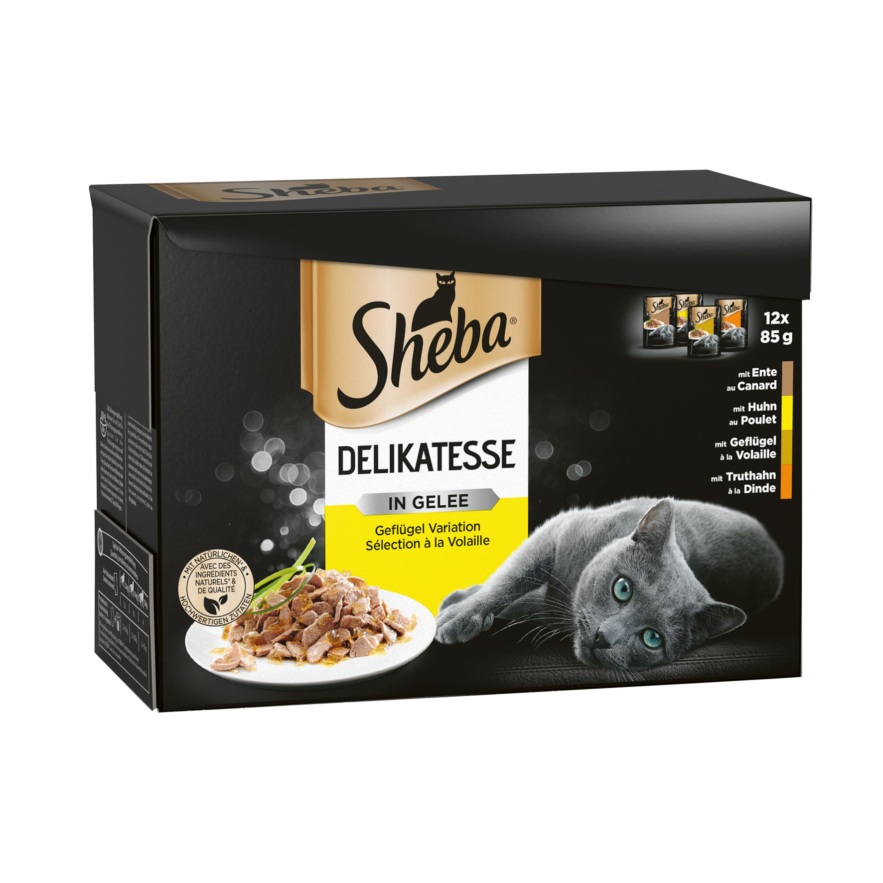 Varietà di pollame Sheba