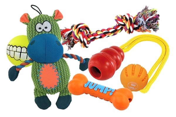 Giochi per cani