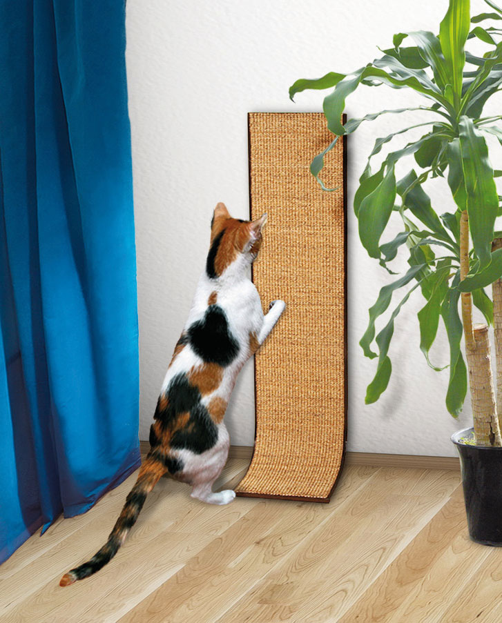 swisspet Kratzbrett Ohio