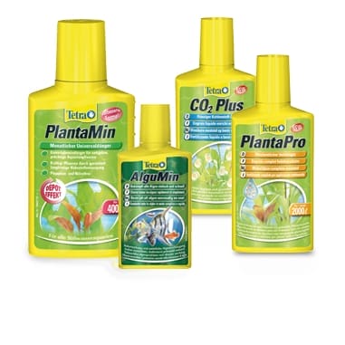 Soin plantes