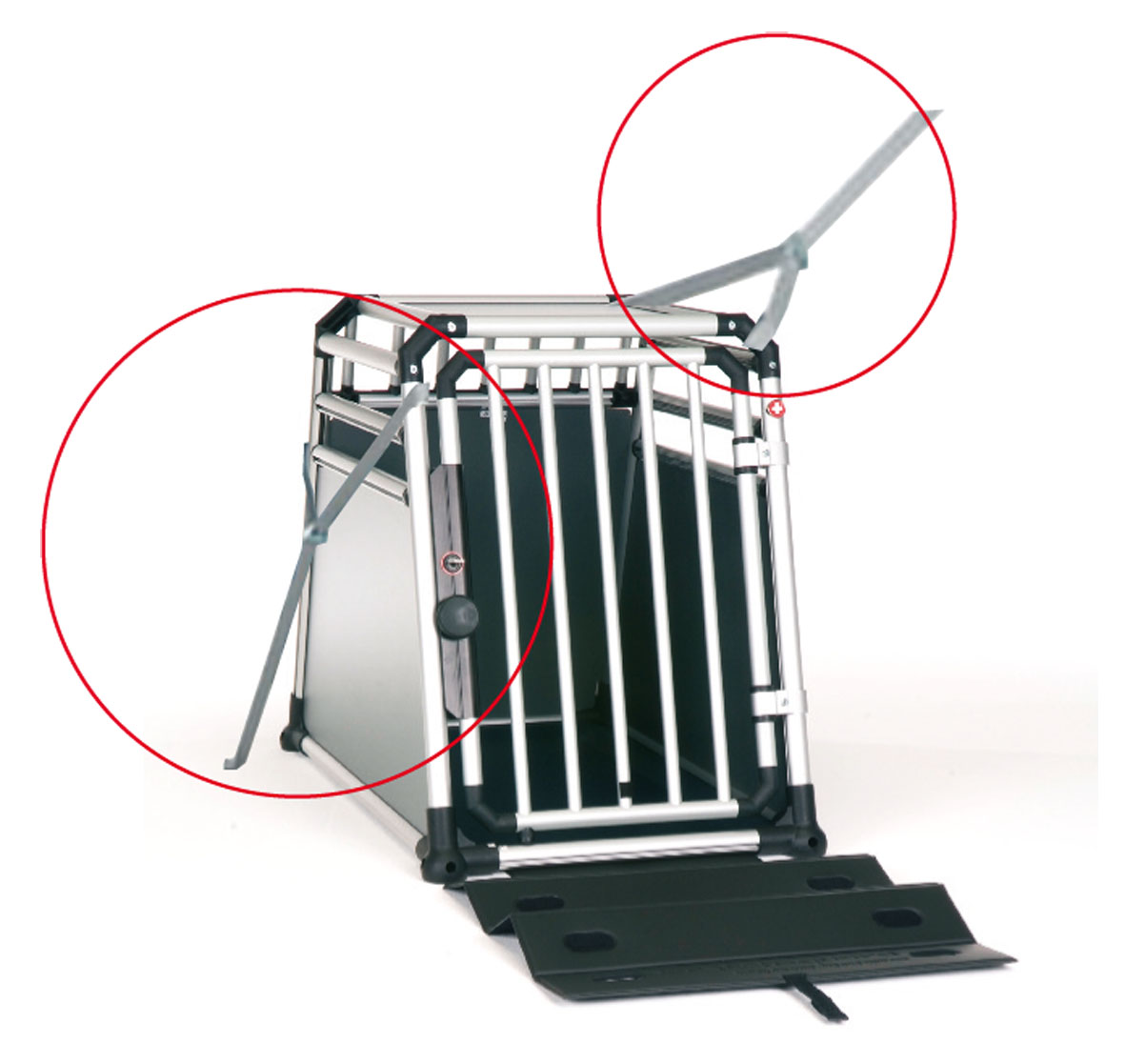 Set di cinturino per cani, 2 pezzi.