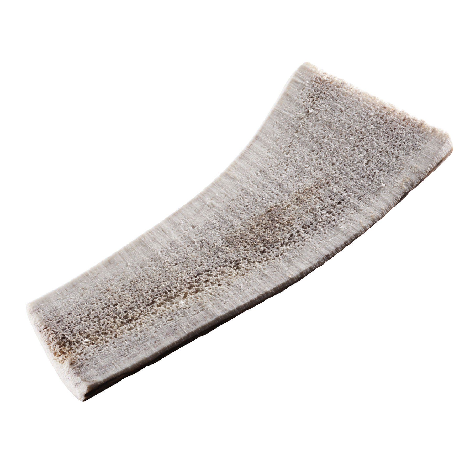 Chewies 1/2 Rothirsch-Geweihstange M