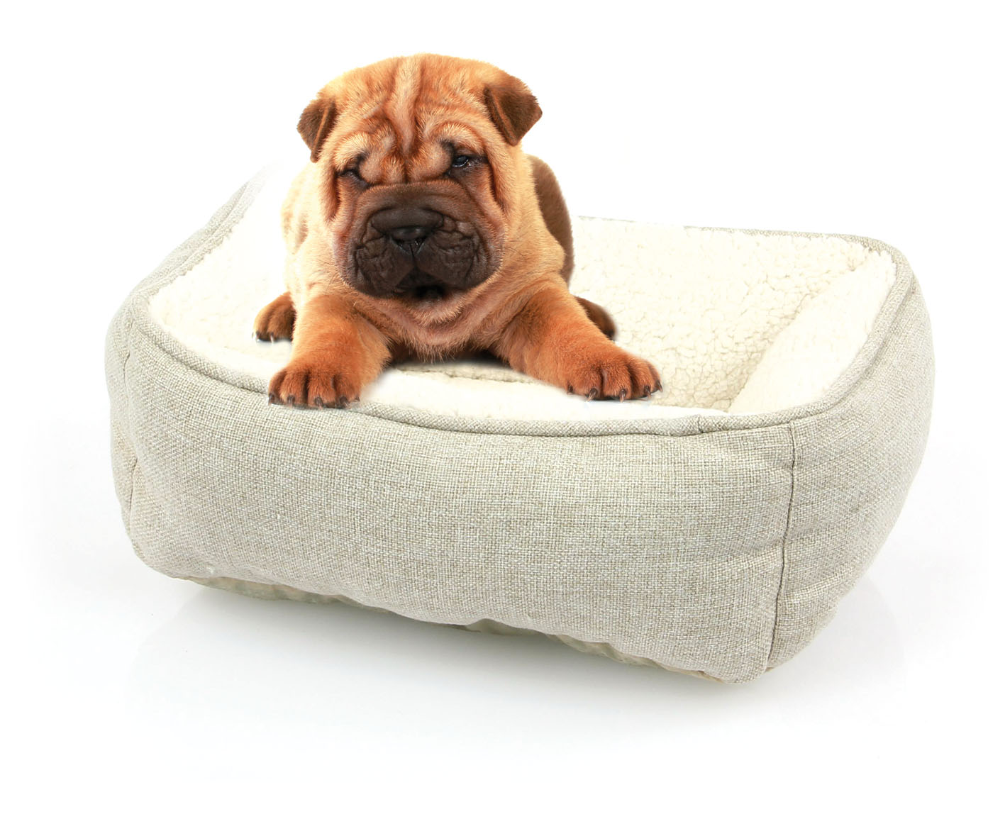 swisspet Hundebett & Katzenbett Romeo