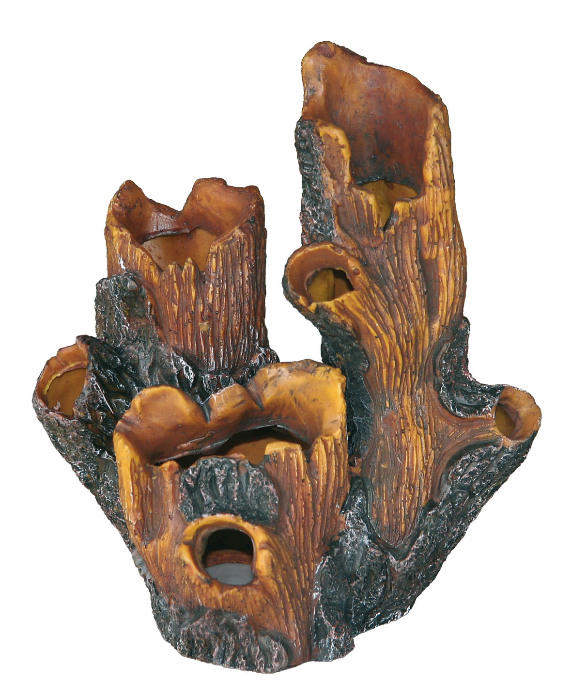 Amazonas racine creuse U-366