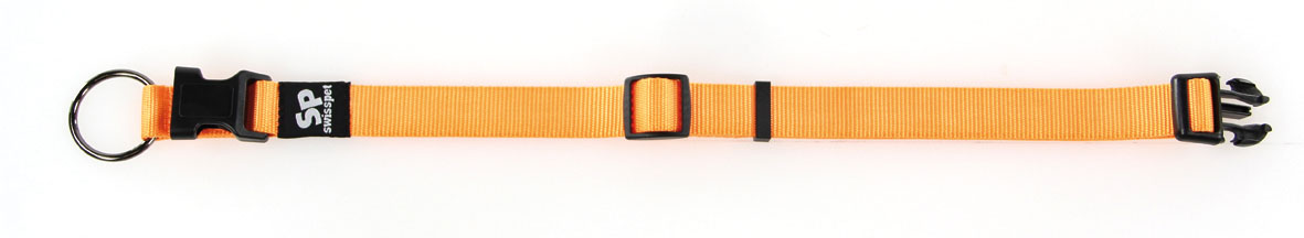 TrendLine ONE collier & laisse, oranges