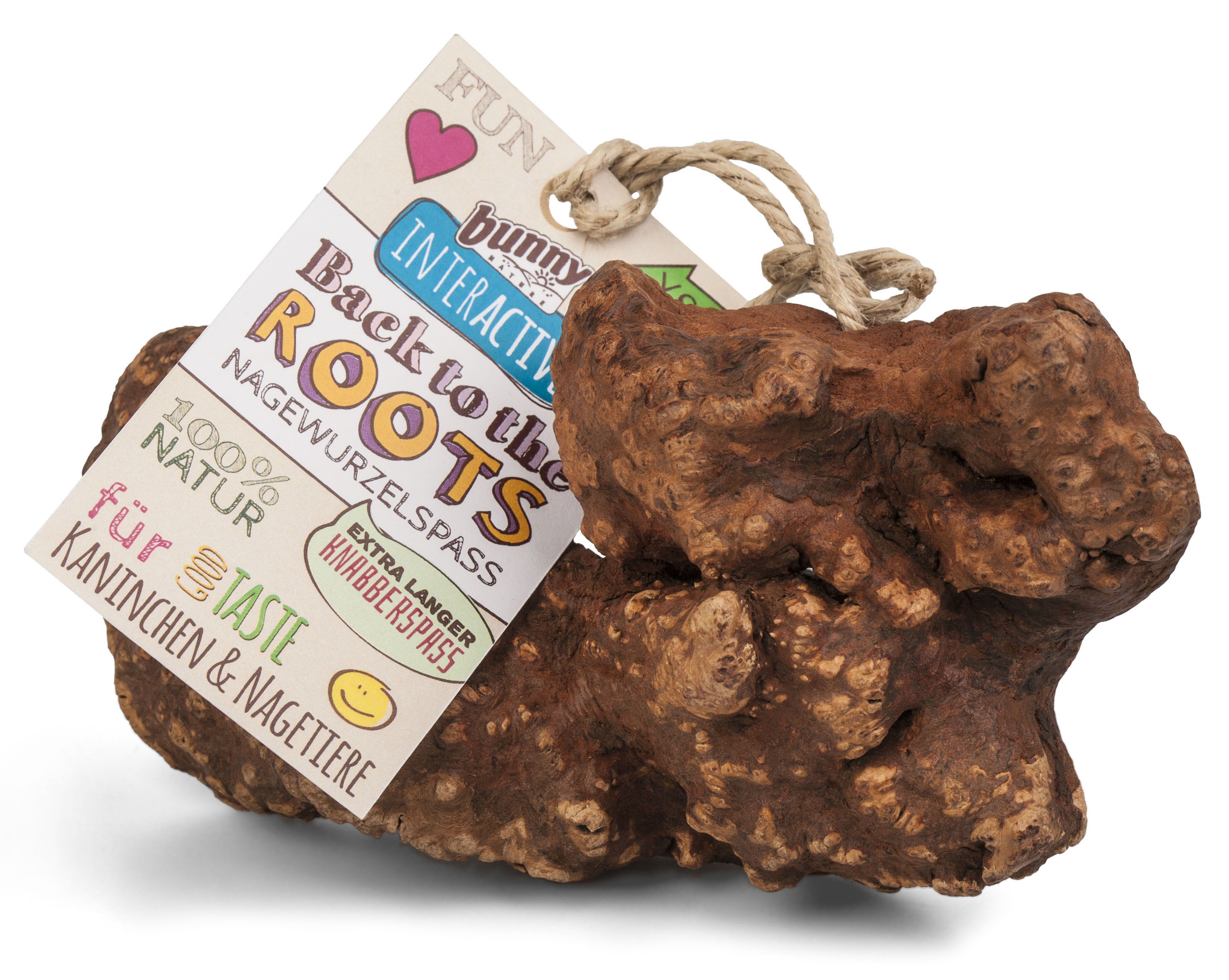 Bunny Back to the Roots