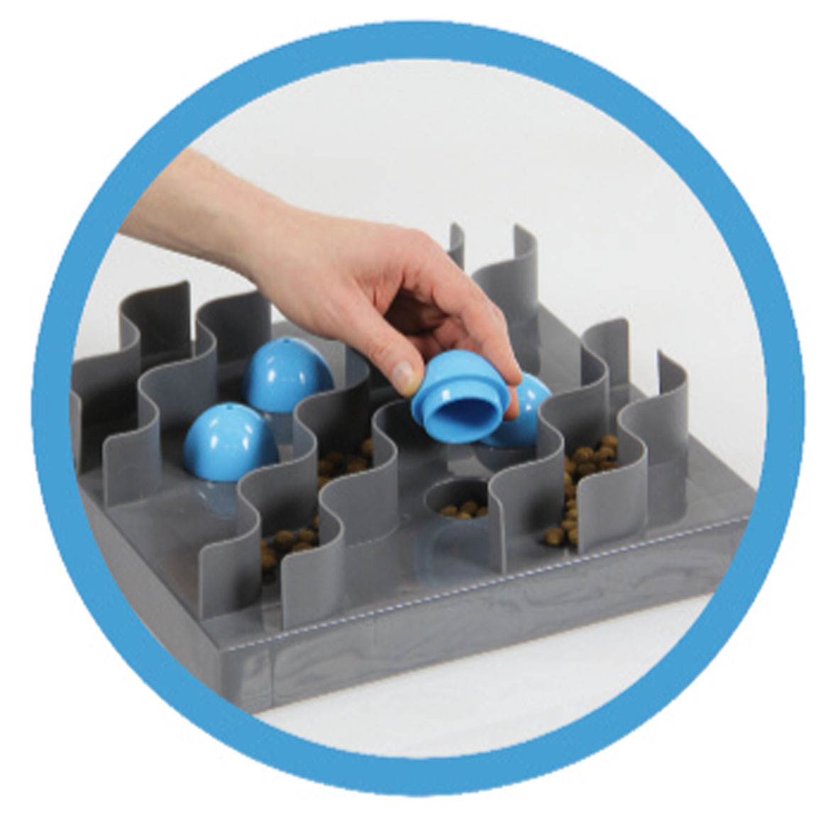 swisspet Hundespielzeug Cleverplay Wave