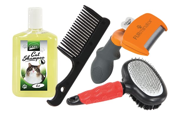 Katzenpflege