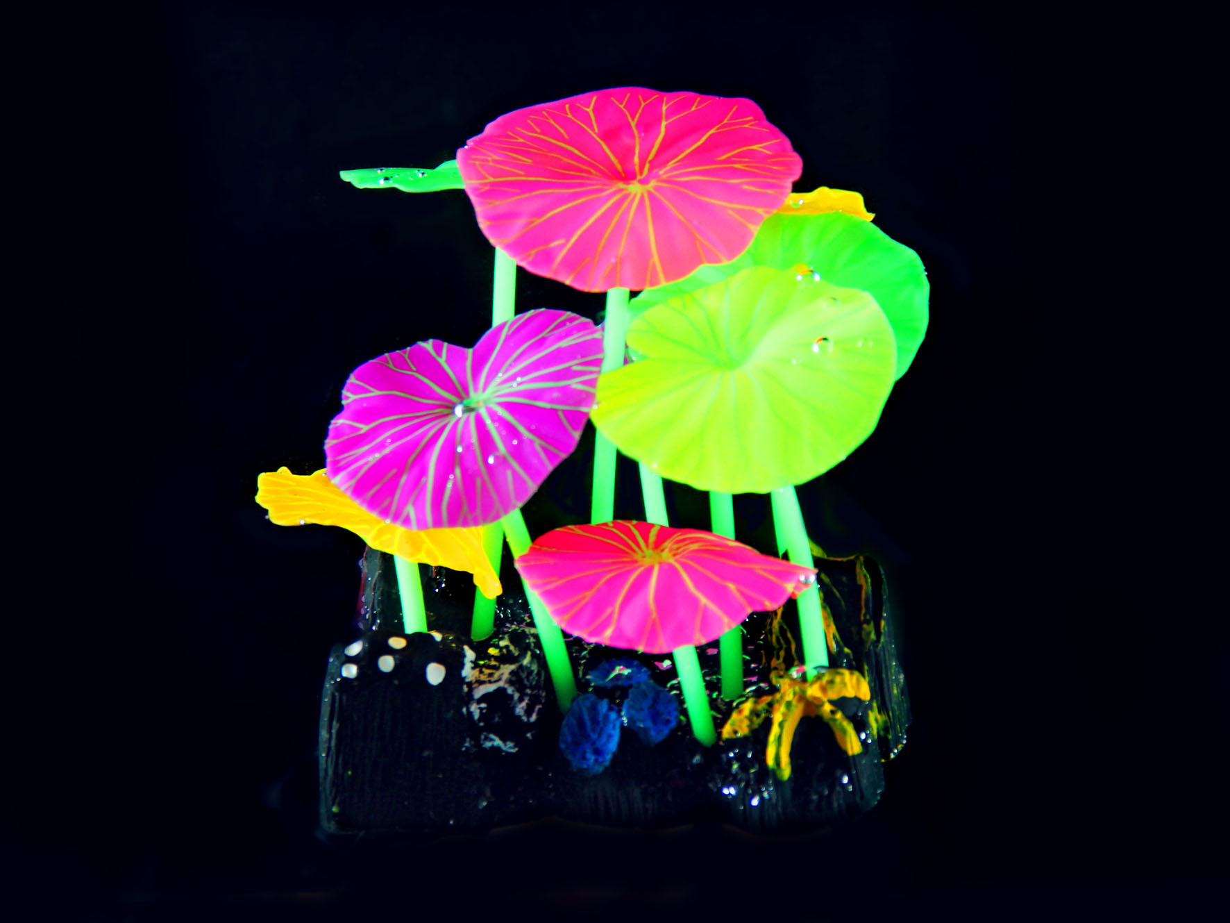 Amazonas Kunststoffpflanzen FLUO Lotus R12, 10.5x9.5x6.5cm