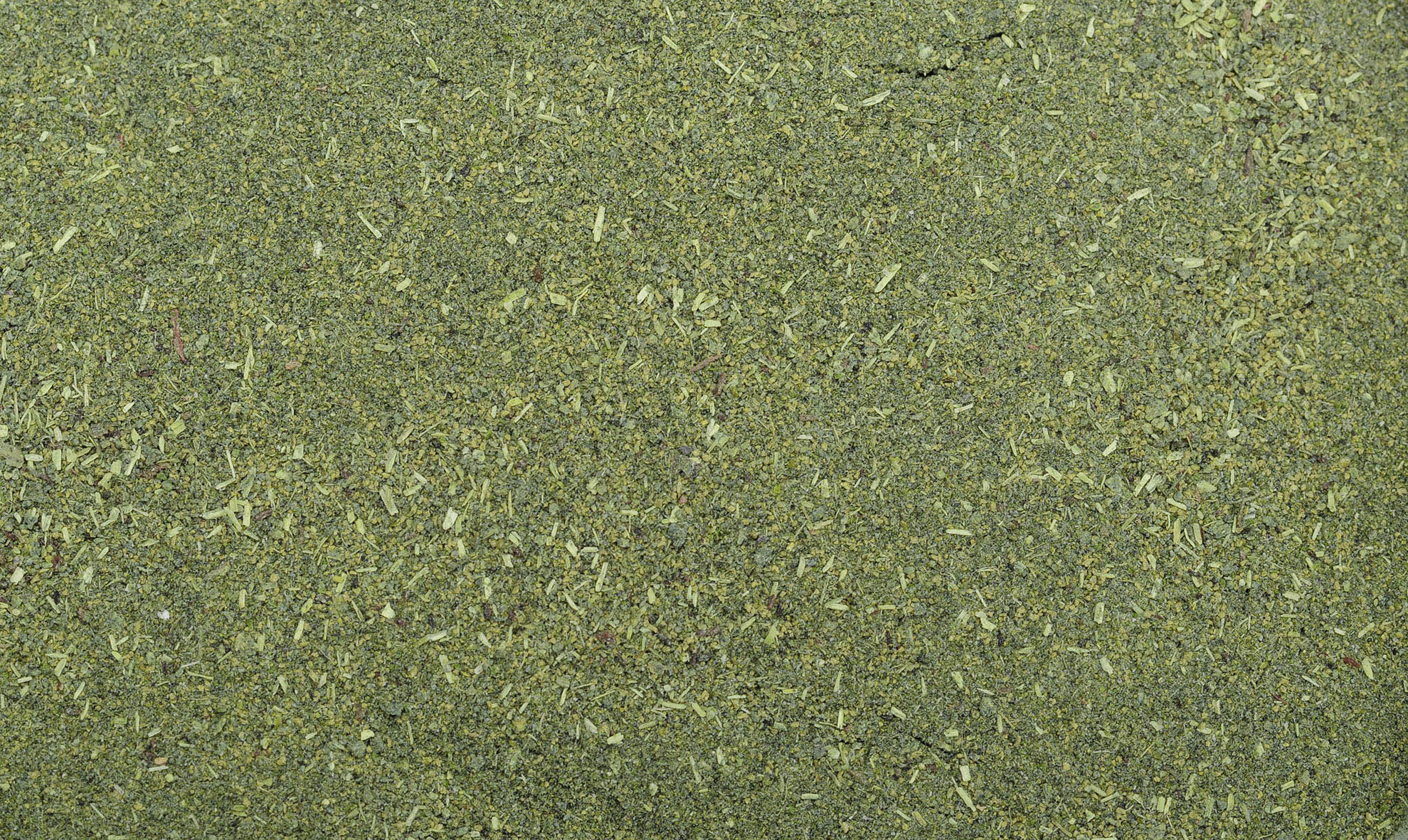 Dennerle Shrimp King Atyopsis 35g