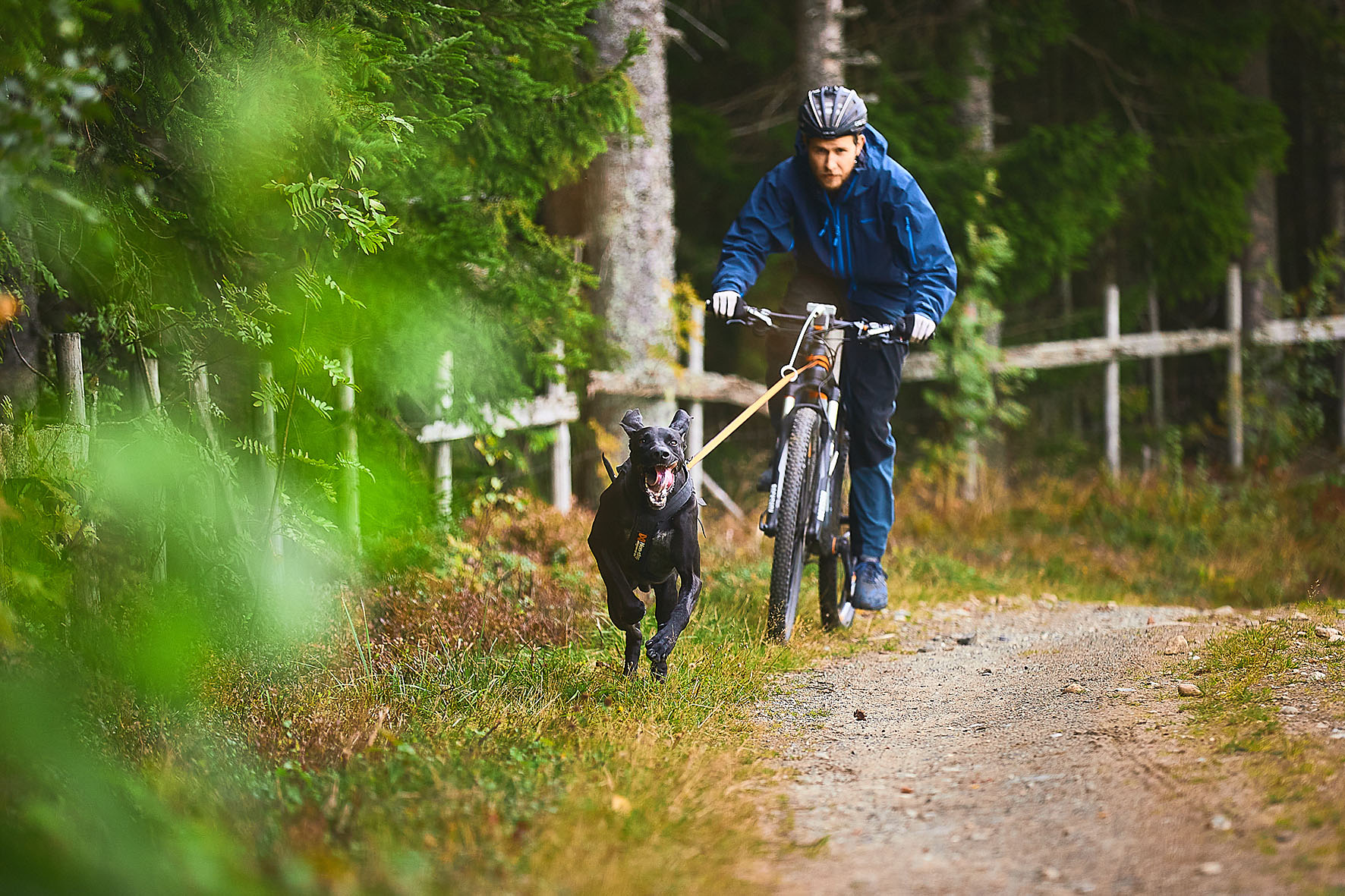 Non-stop KlickFix Bike-Antenne