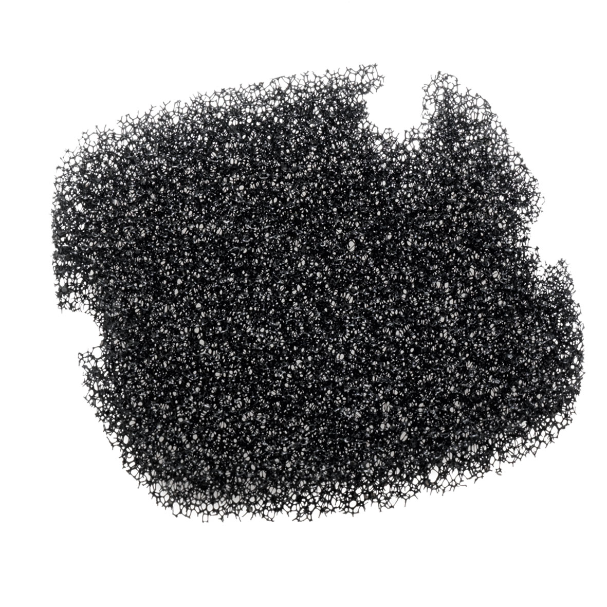 Spugna filtrante BF Bio 2 pezzi