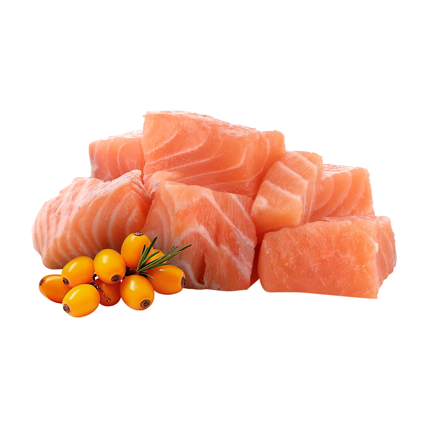 Pawsome Kitten Lachs 85g