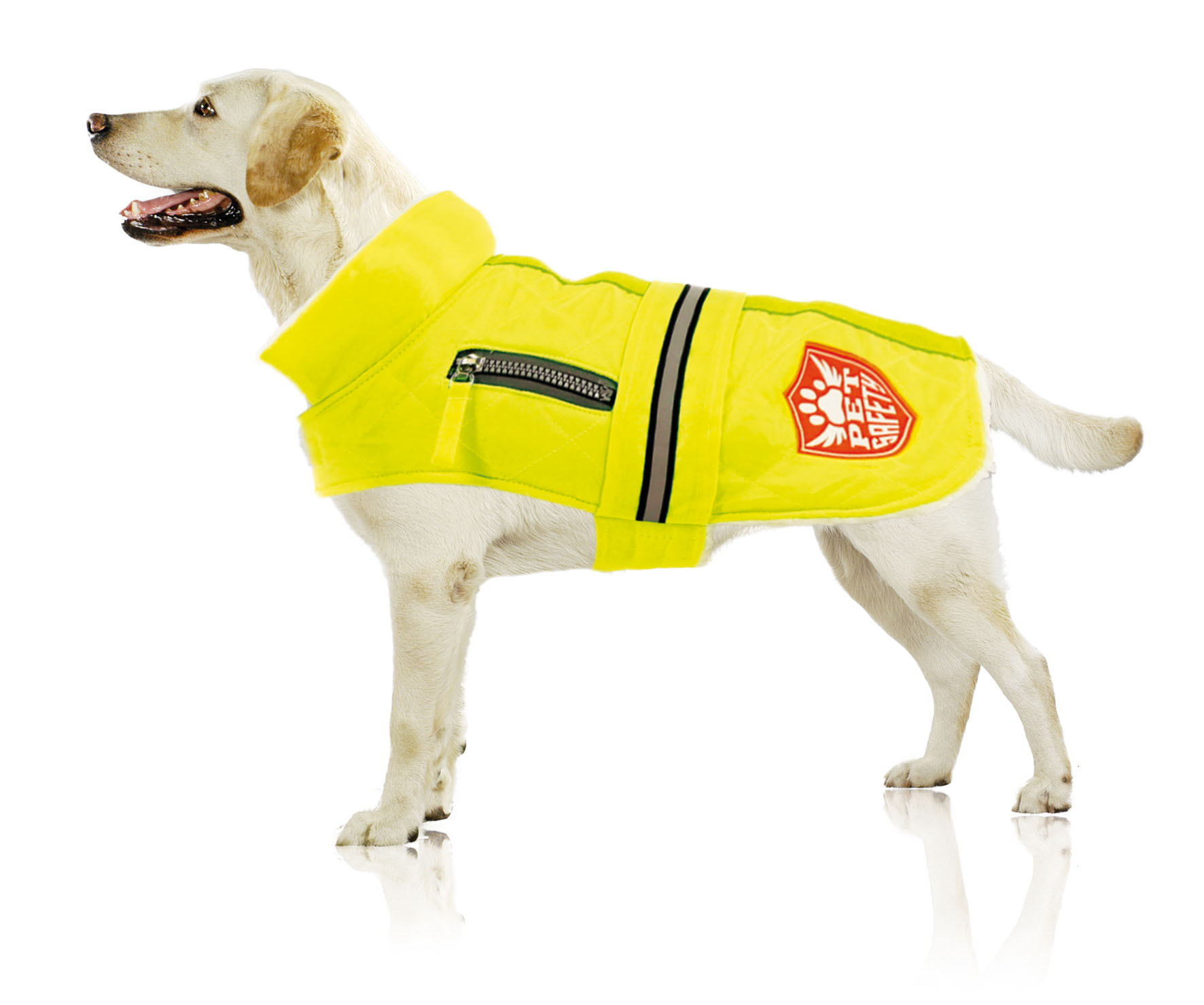 swisspet Cappotto invernale per cani Yellowdome