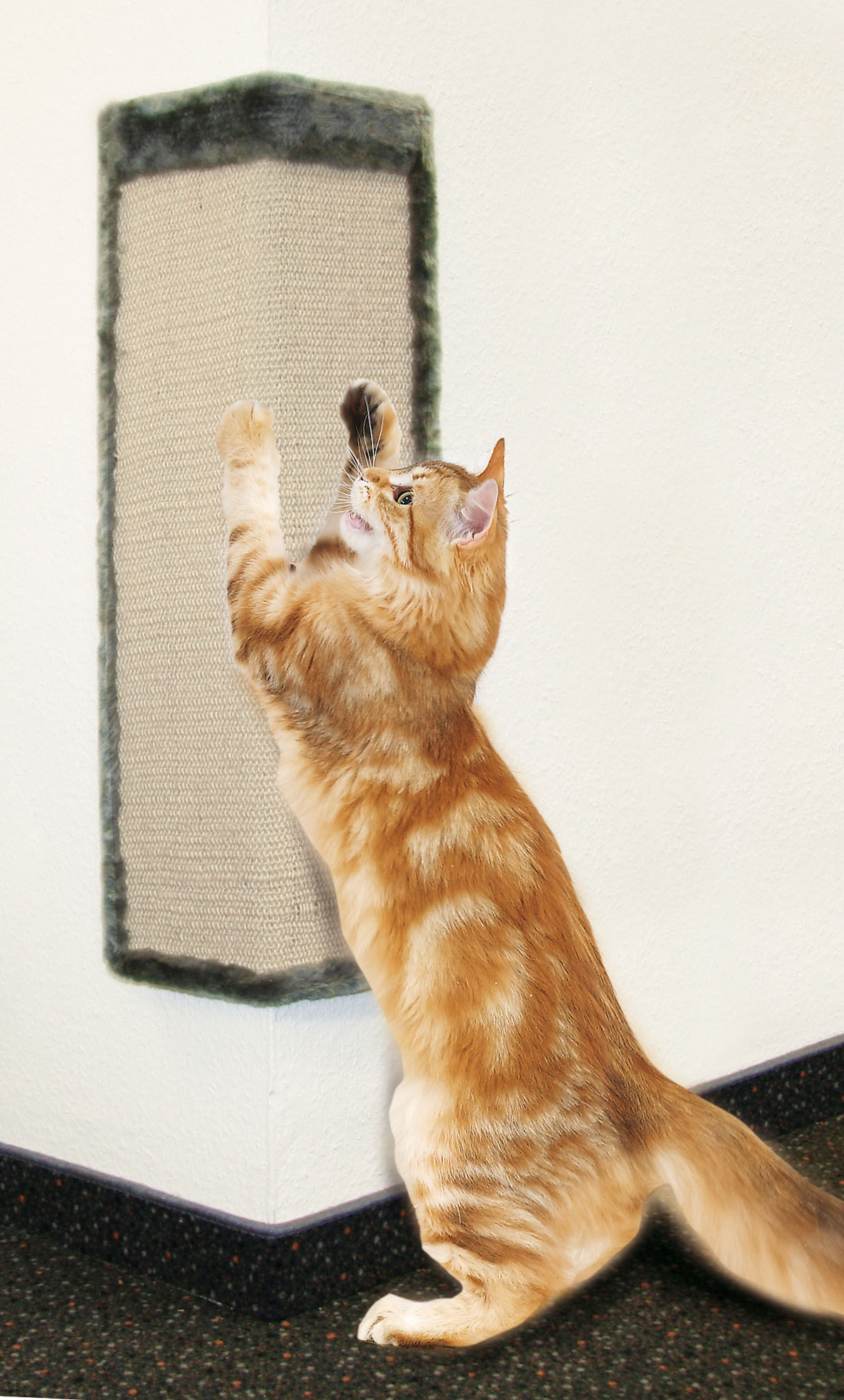 swisspet Eckschoner zum Kratzen