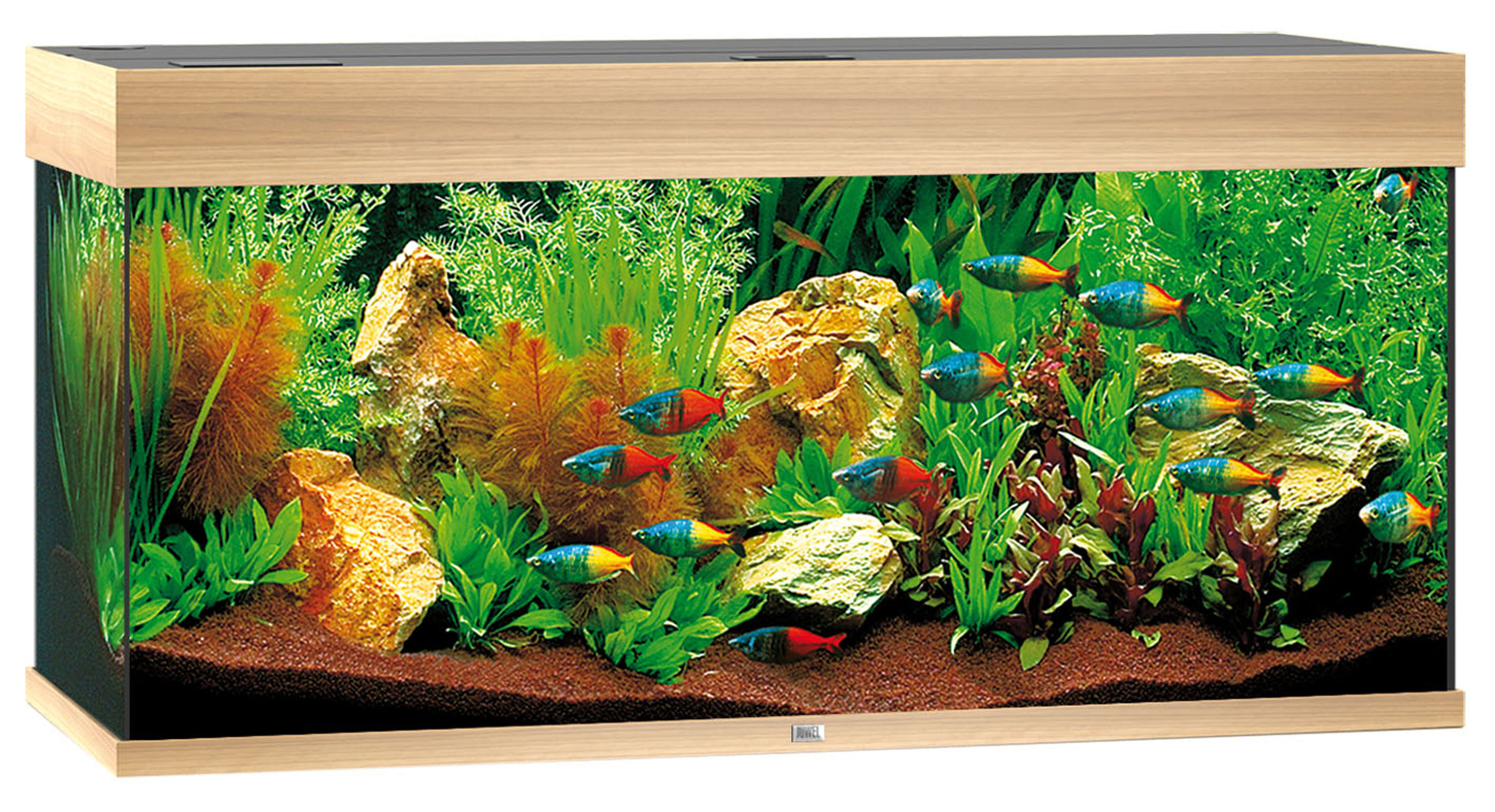 Juwel Aquarium Rio 180, hell