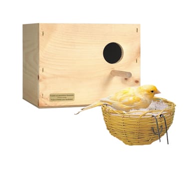 Nidi per uccelli