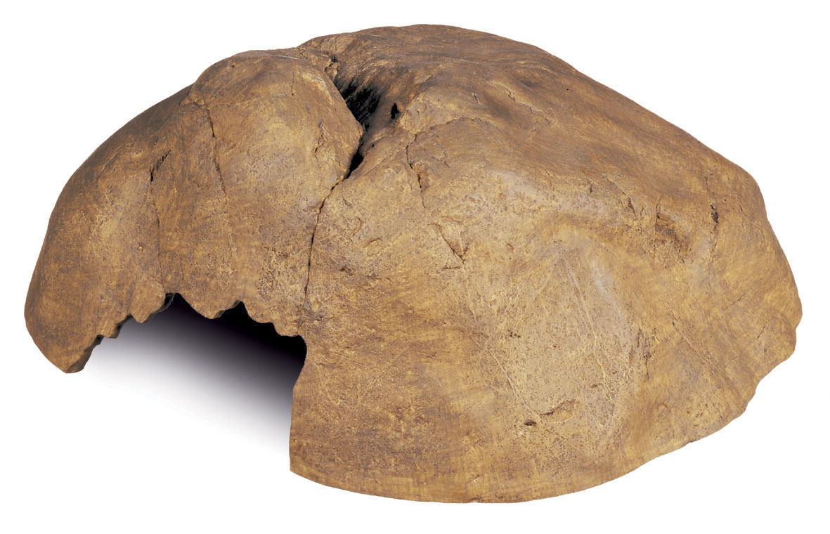 Exo Terra Reptile Caves, Natürliche Höhlen