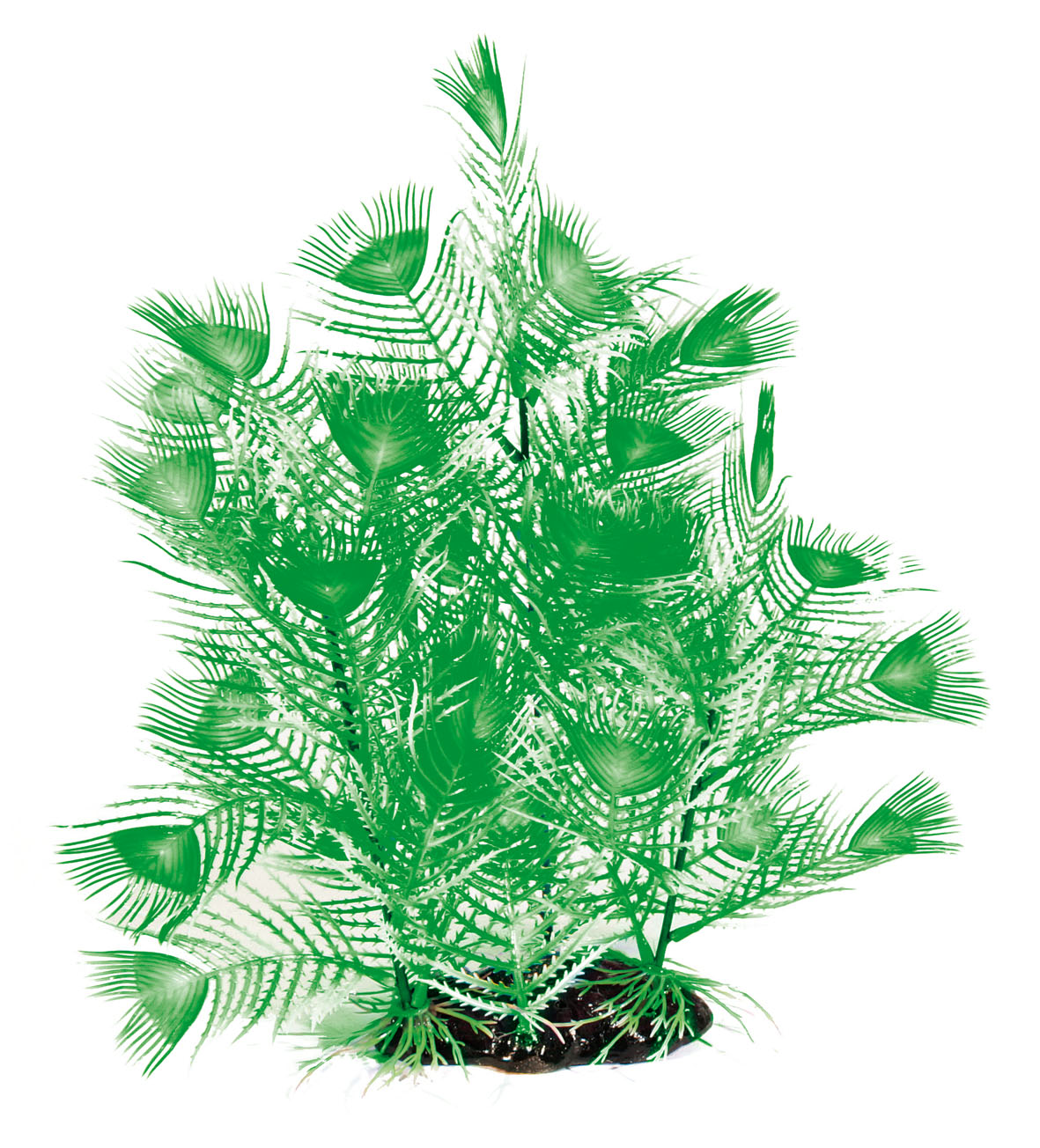 Amazonas Fantasy Plant AL verte