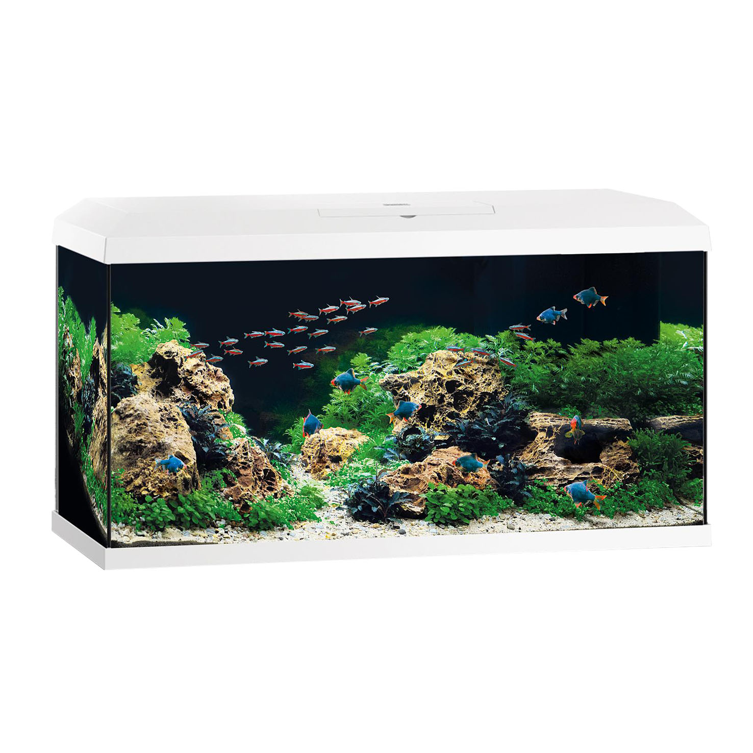 Juwel Aquarium Primo 110 LED 2.0, weiss