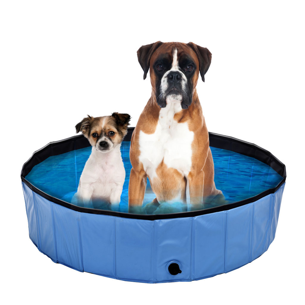 swisspet Hundepool Planchi mit seitlichem Ablass