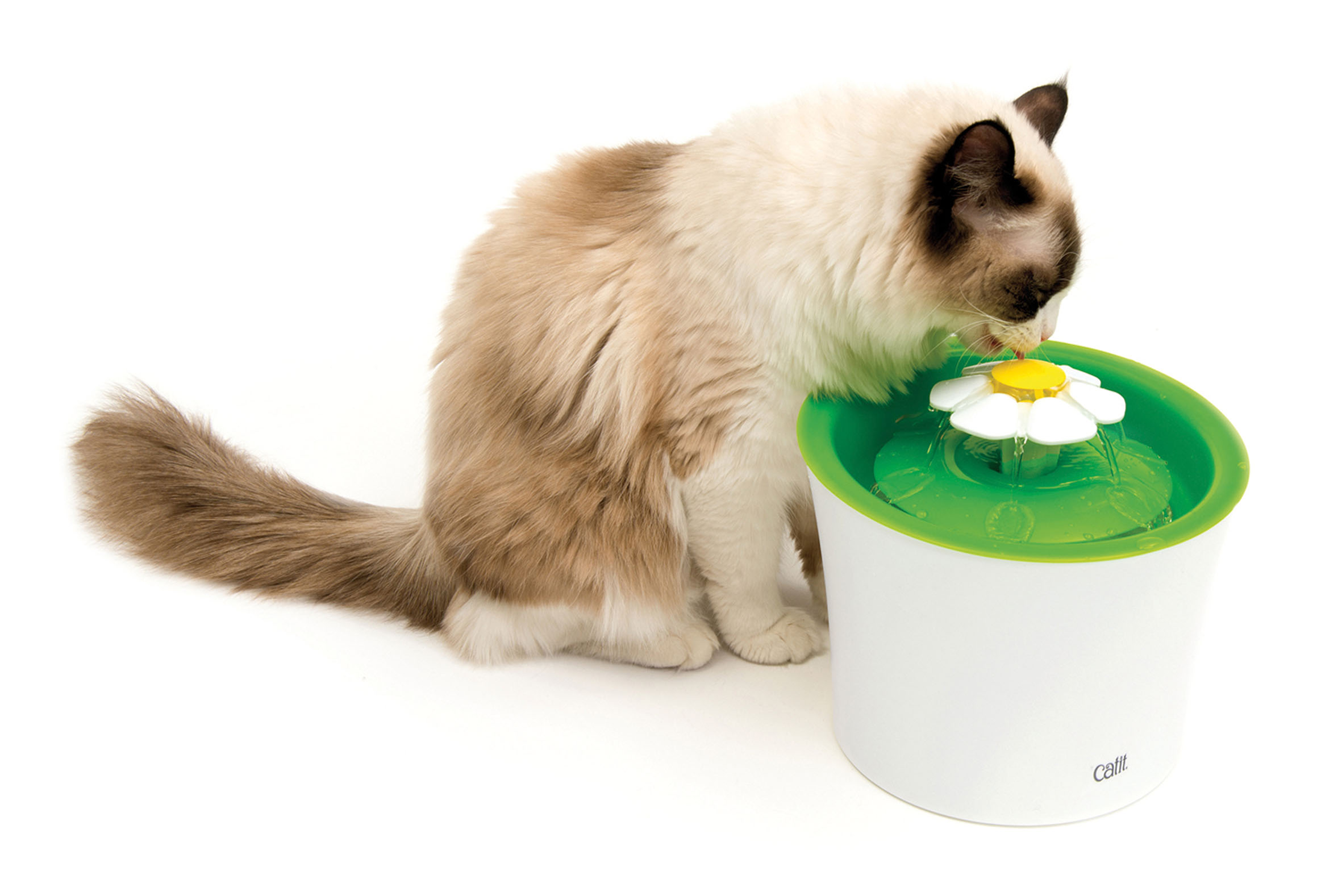 Catit Senses 2.0 Flower Fountain, 3L
