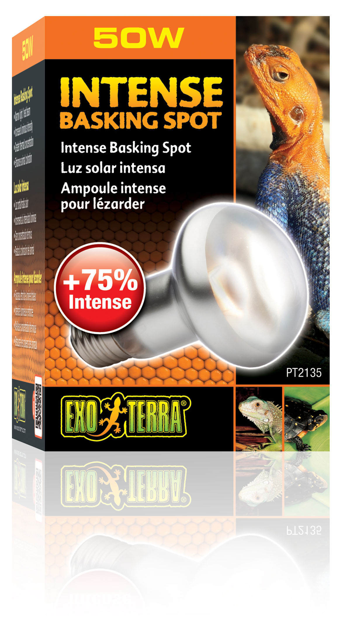 Exo Terra Intense Basking Spot