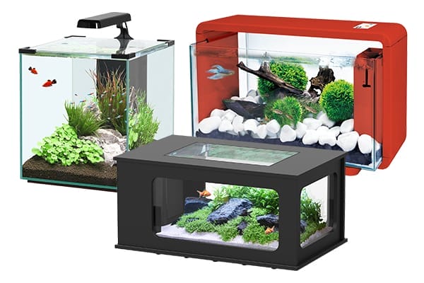 Aquarien
