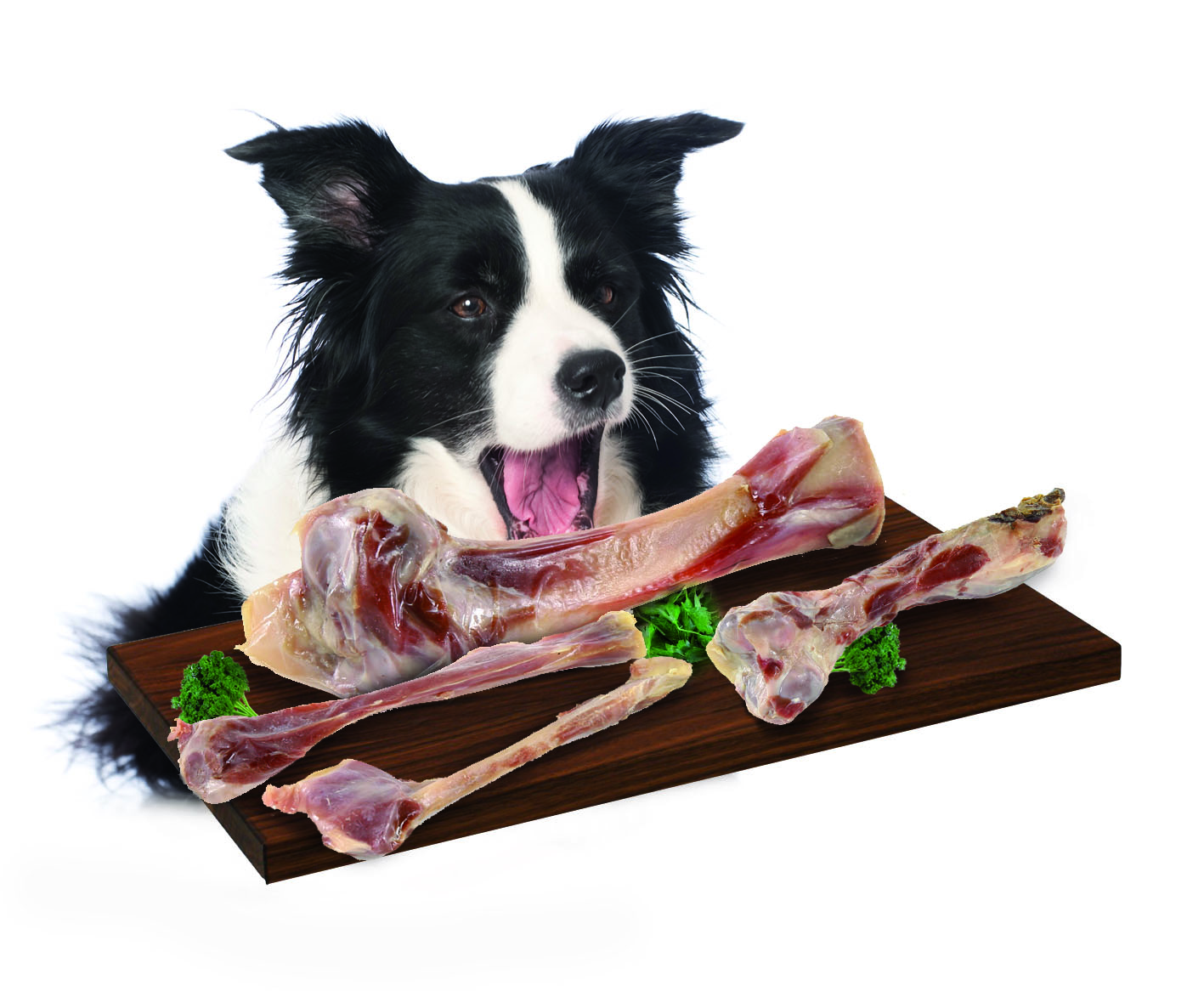 ouis Metzgertipp Schinkenknochen, S, 2Stk. à 75g 