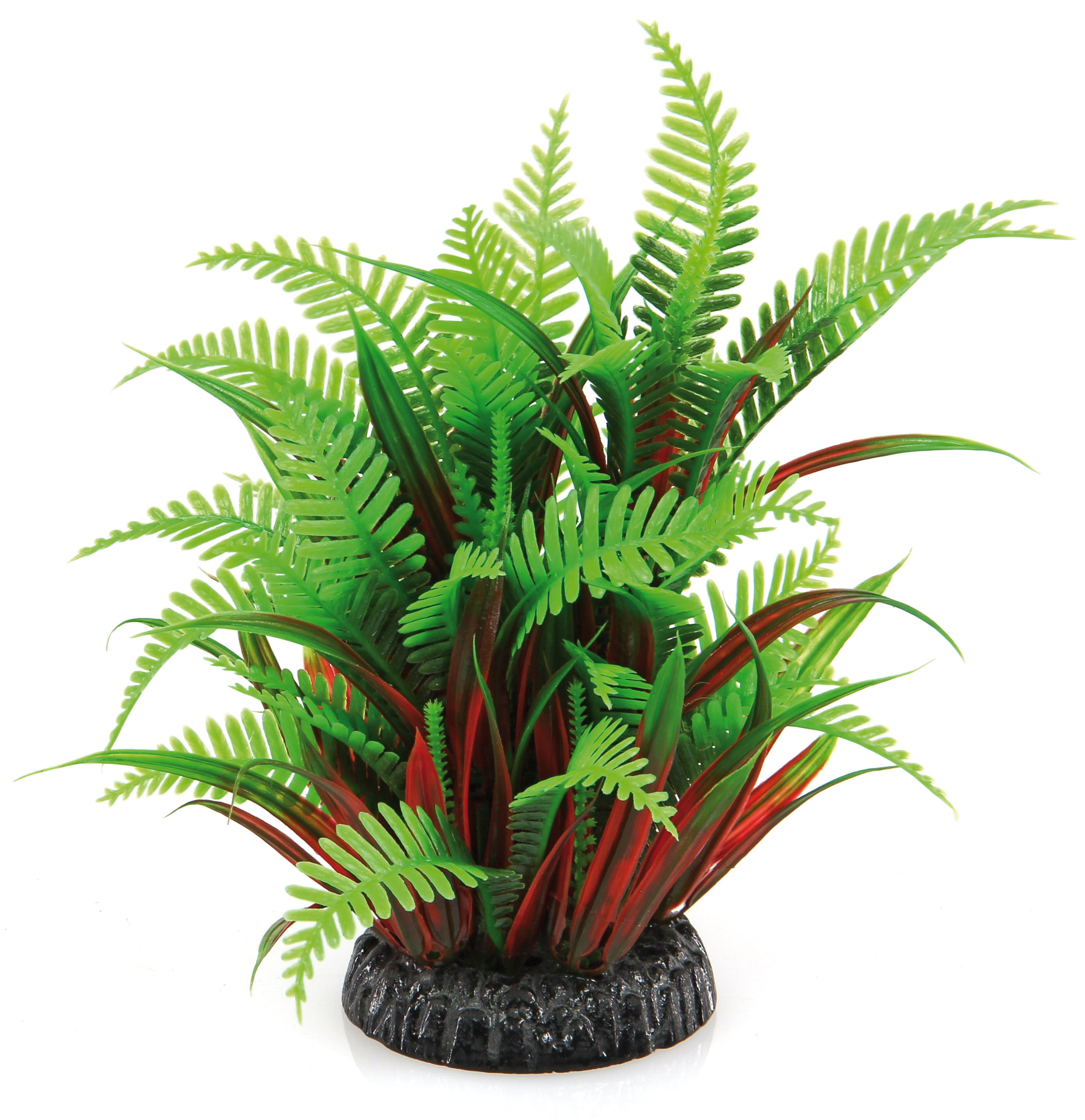 Amazonas Fantasy Plant QL grün-rot