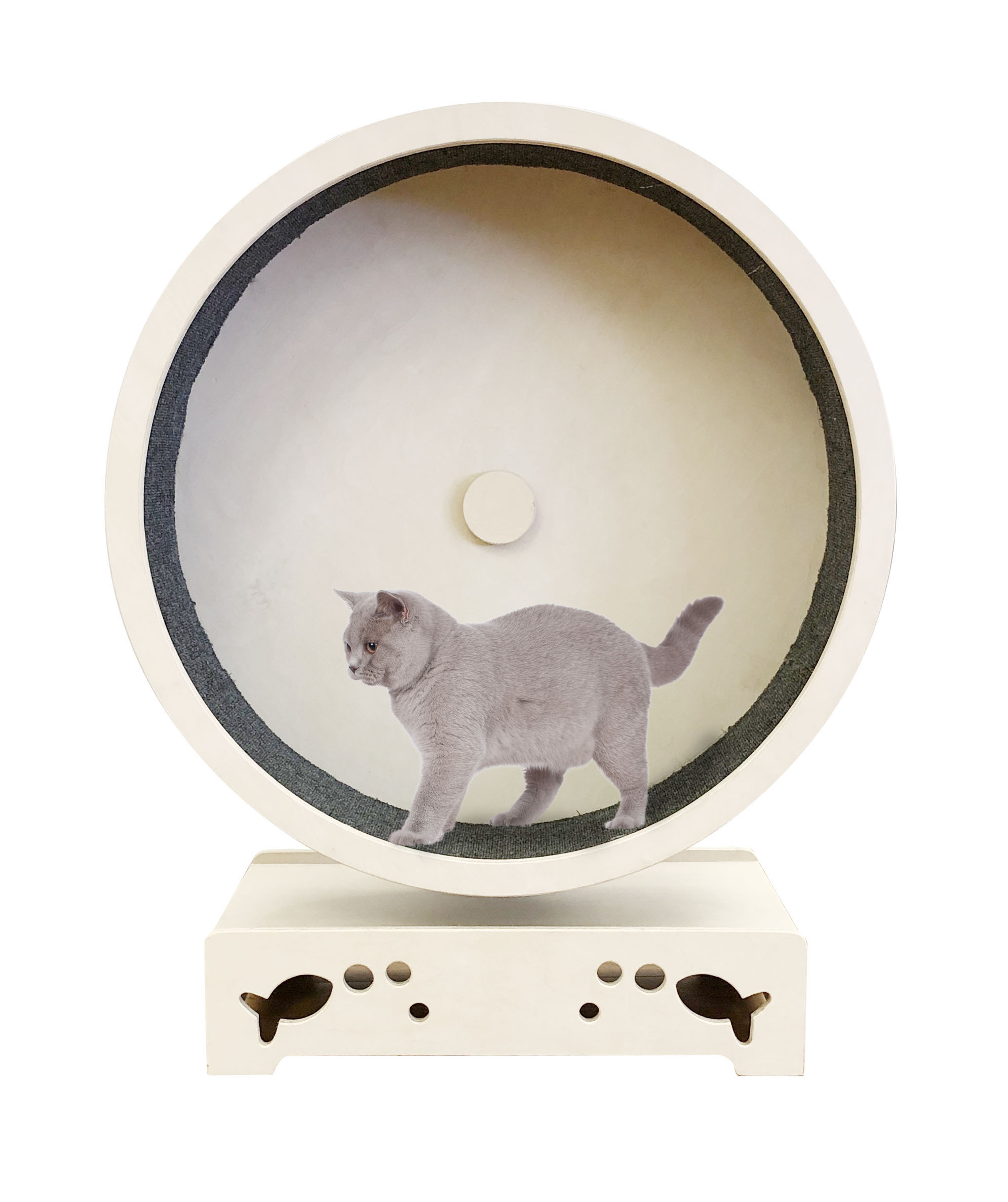 Roue à chat Rondulo 75