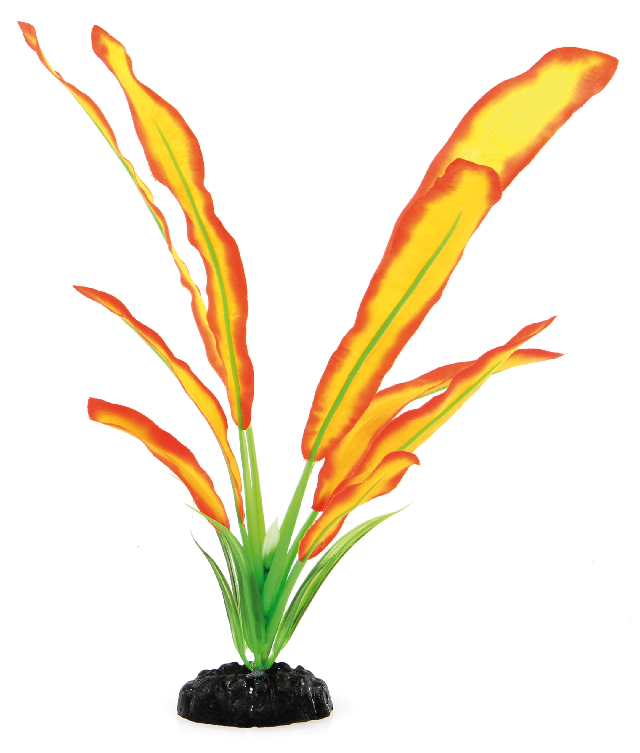 Amazonas Fantasy Plant BPS orange