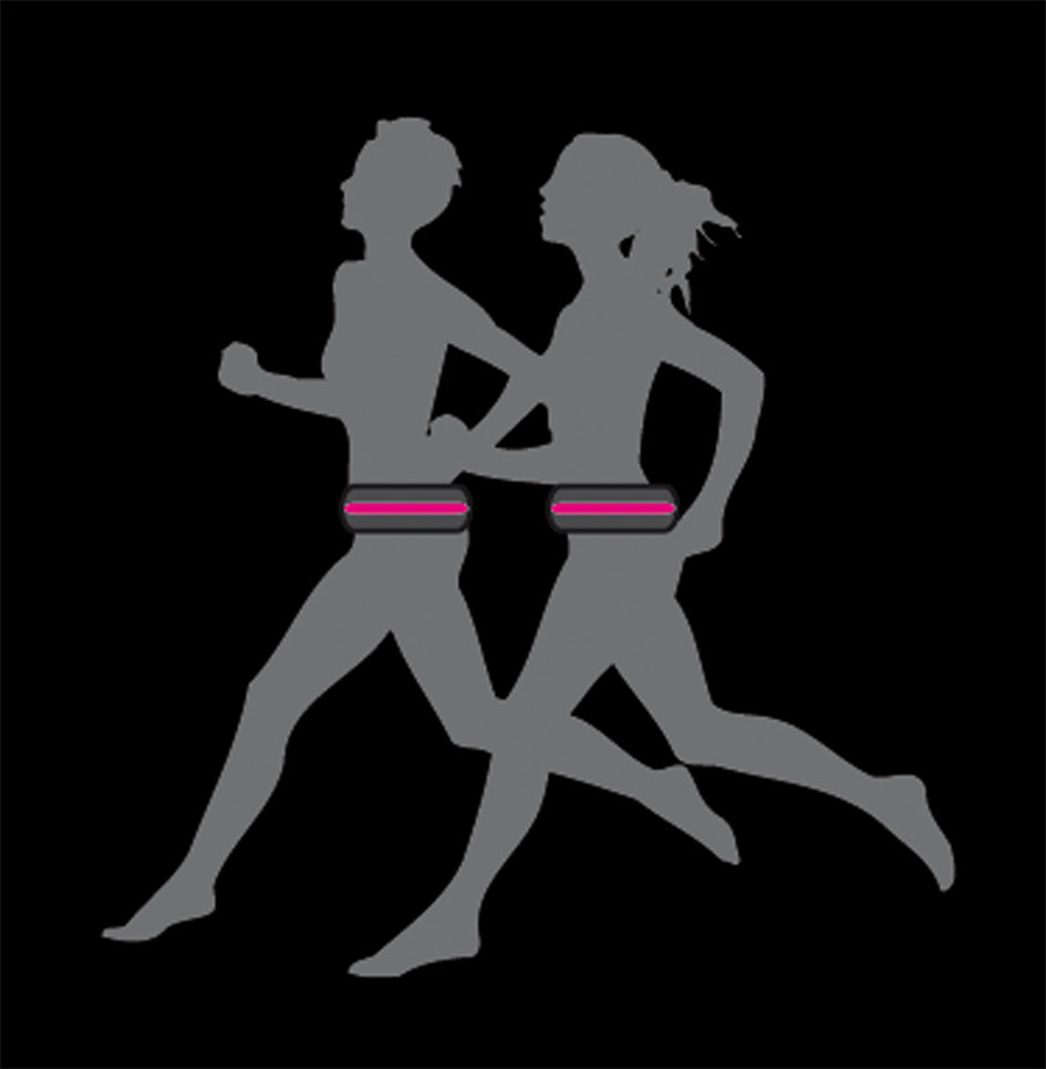 swisspet LED-Leuchtgürteltasche