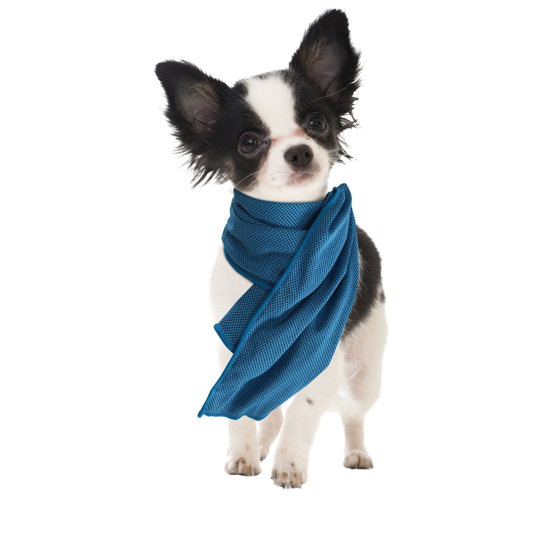 swisspet Kühltuch Parky