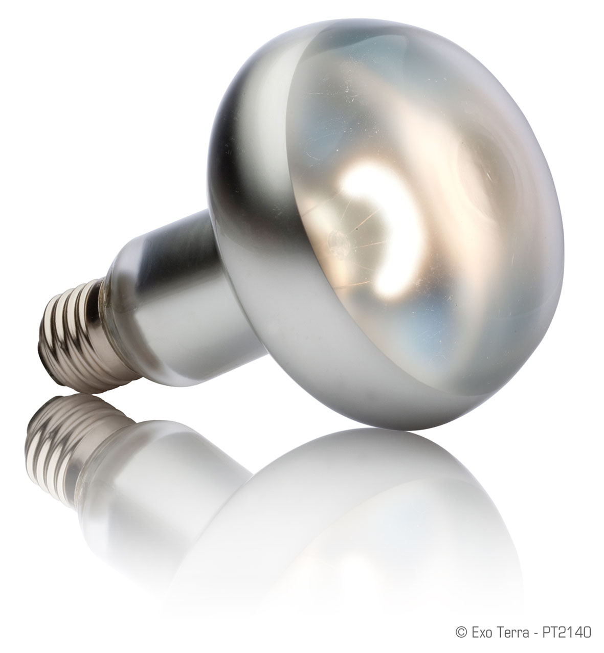 Exo Terra Intense Basking Spot