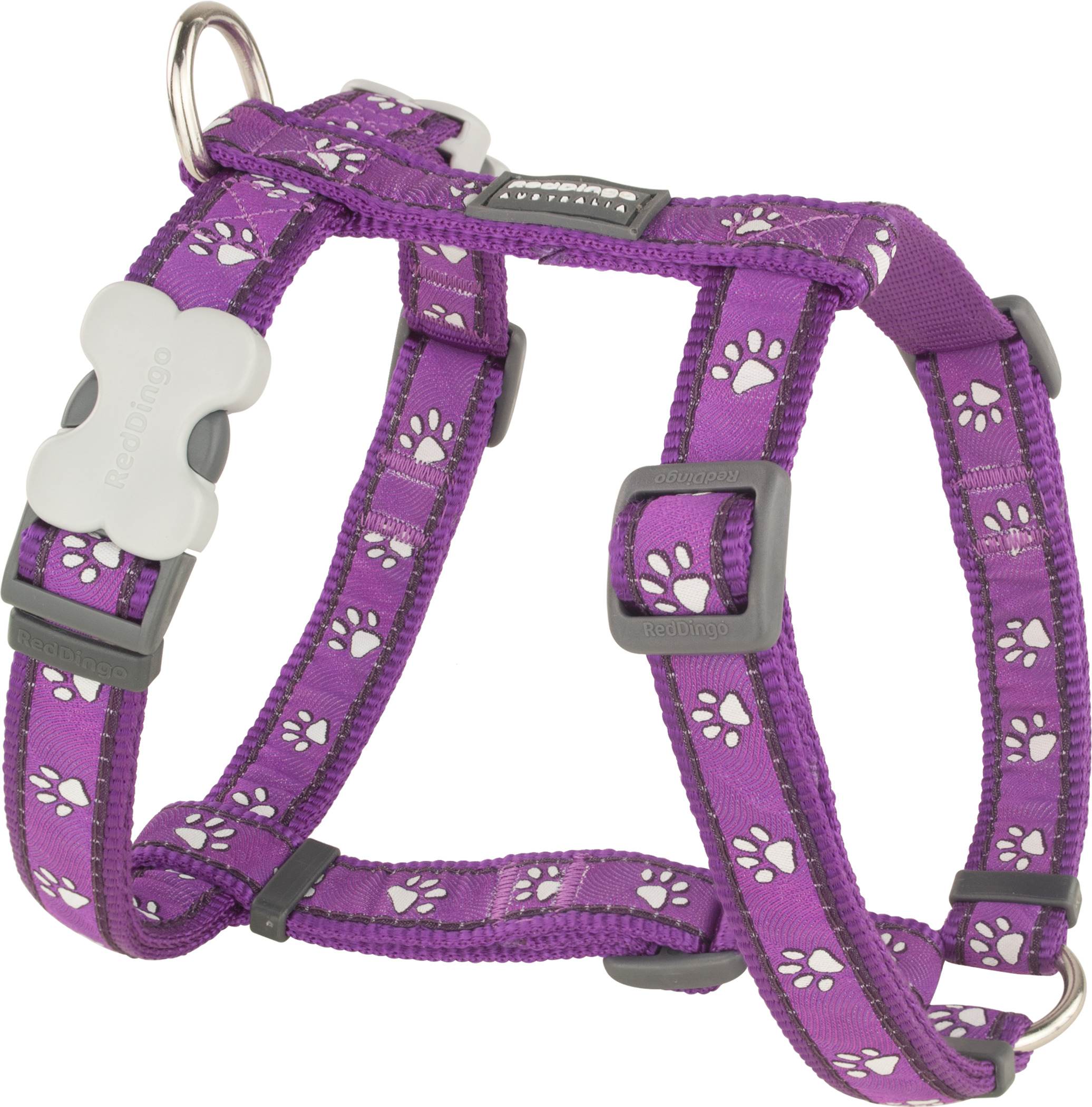 RedDingo Geschirr Design Desert Paws Violett S