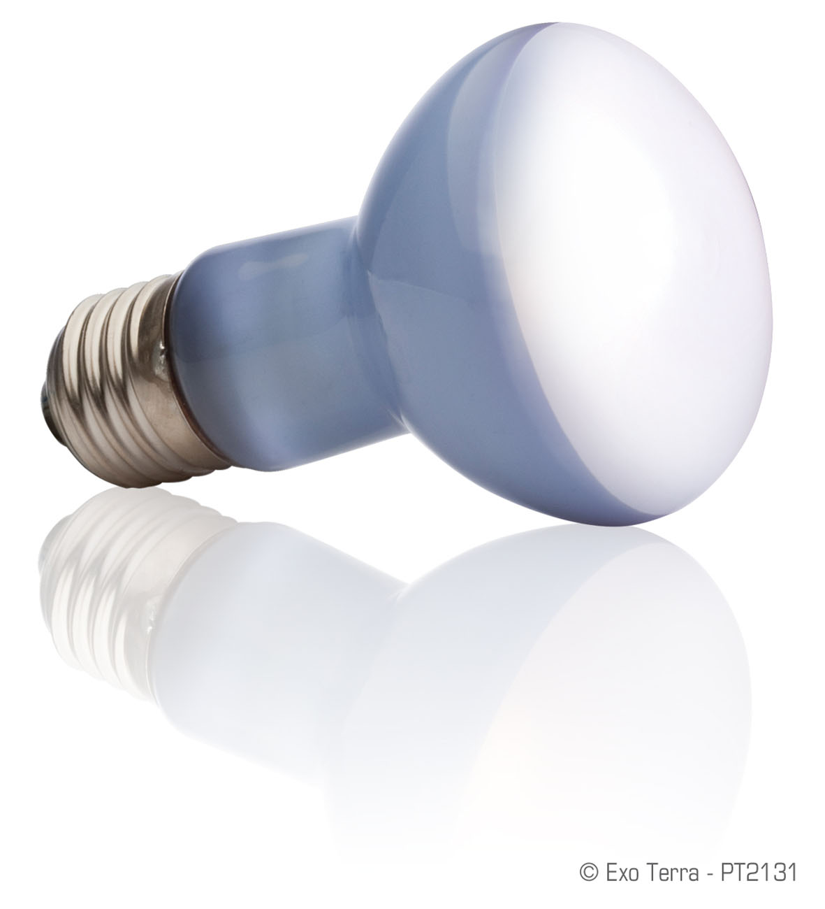 Exo Terra Daylight Basking Spot