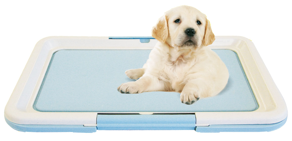 swisspet Puppy Welpen WC