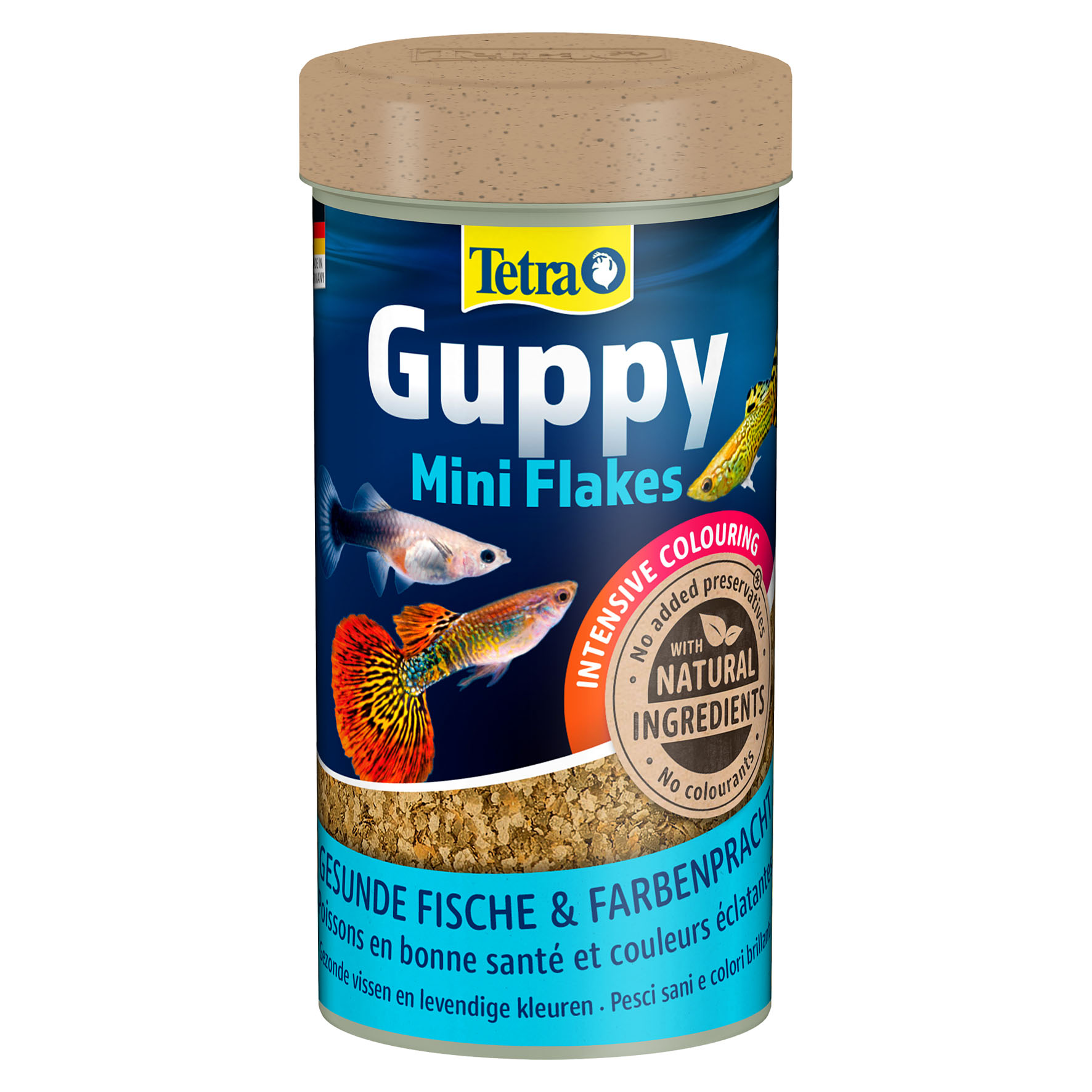 TetraGuppy
